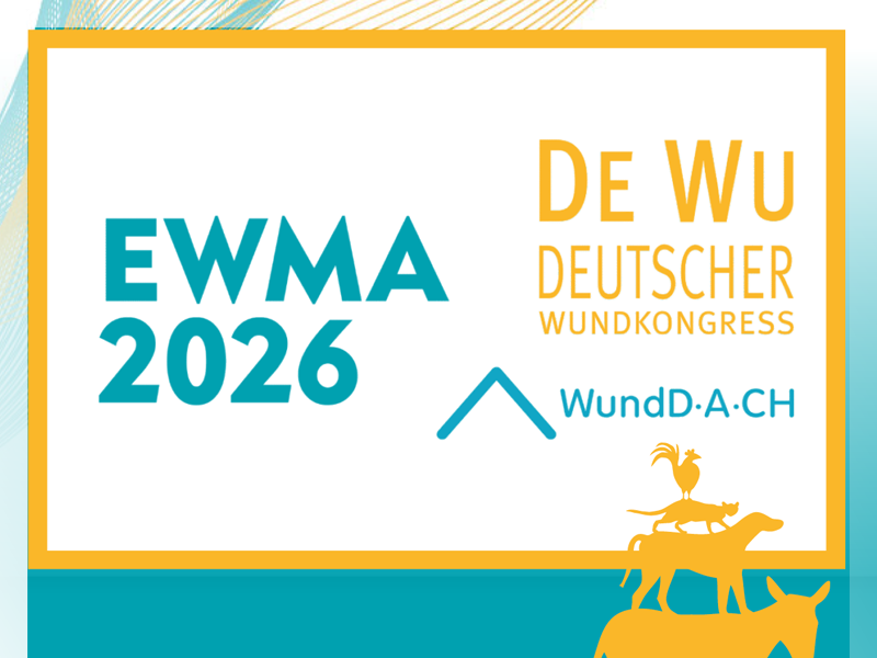 EWMA 26